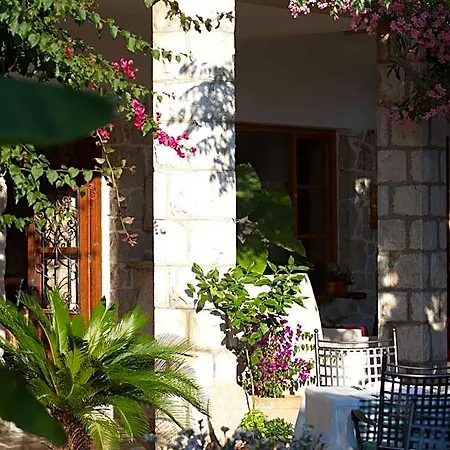 Hotel Barbat 3*