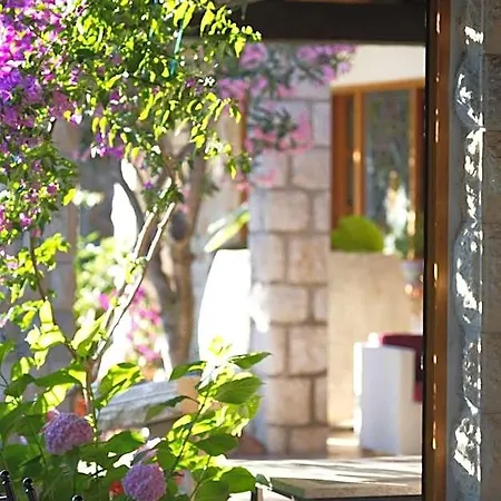 Barbat Hotel 3*